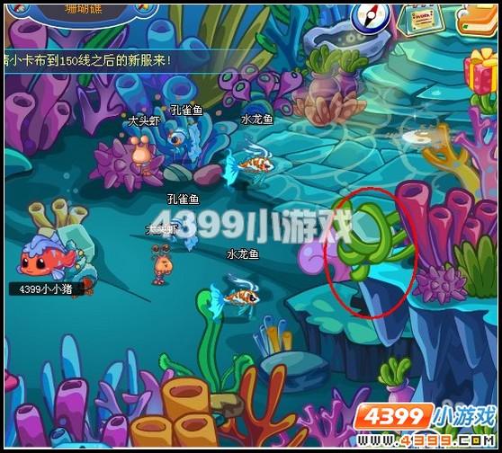 卡布西游收集小銀魚(yú)游戲
