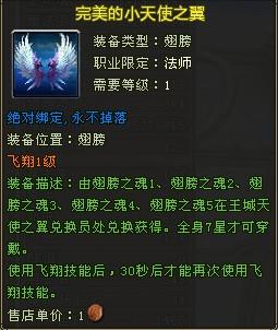 翅膀.jpg