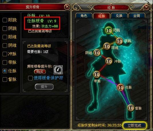根骨提升