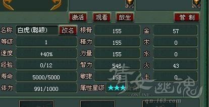 如何合理搭配五行?靈獸坐騎五行攻略分享
