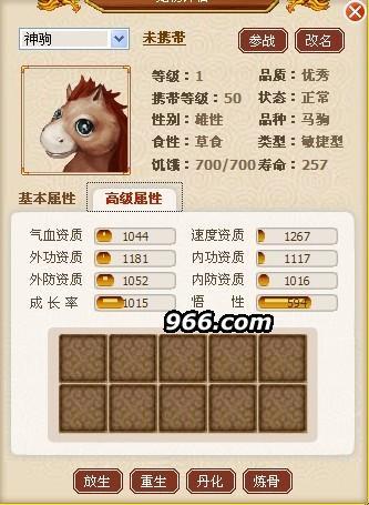 神马.jpg