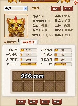 虎崽.jpg