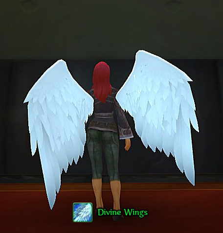 Divine Wings
