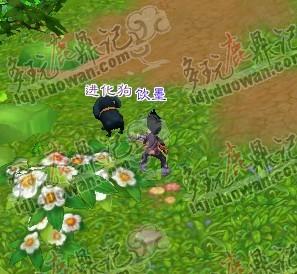 鹿鼎记新人攻略，抓宠选侍卫全解！