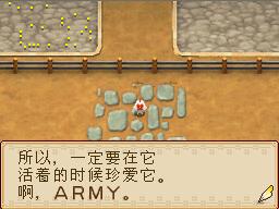 [翻译]NDS牧场物语-欢迎来到风之集市中文攻略-新手常见问题（二） - 阿米 - 米多多牧场