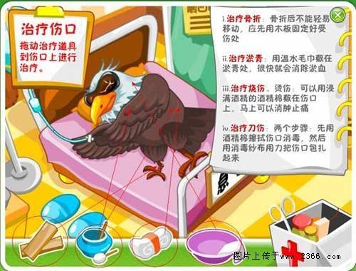 網(wǎng)娃樂園 鵬四眼