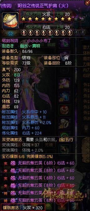 阳谷之传说正气护肩