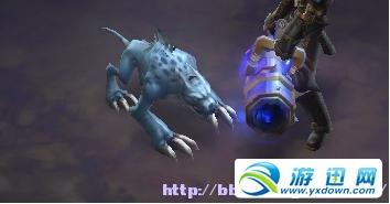 宠物狐狼.JPG