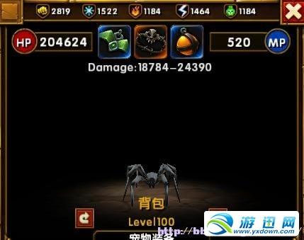 宠物吸血蜘蛛2.JPG