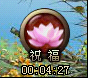 91wan沧海一剑许愿树1