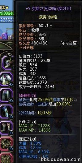 不能做強攻那就做最受 圣騎完美全攻略
