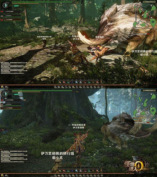 怪物獵人OL公會(huì);怪物獵人OL雙野豬王