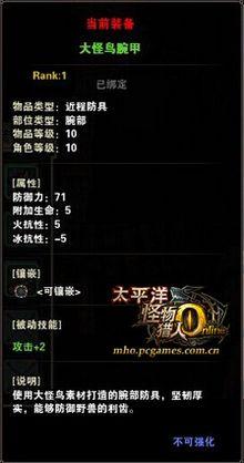 大怪鳥(niǎo)