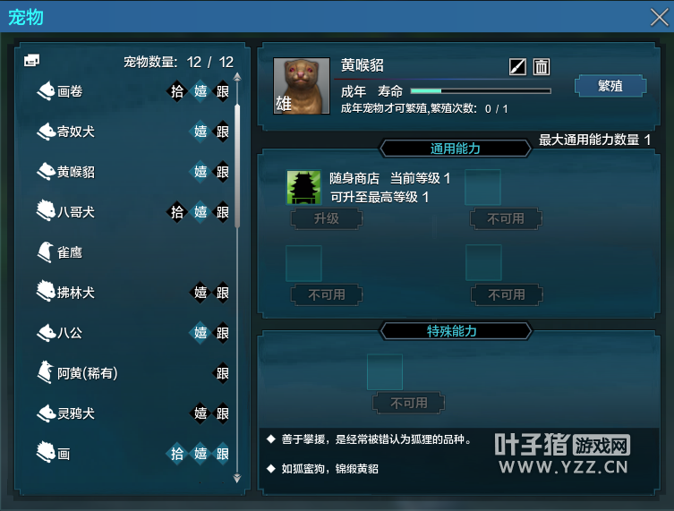 黃喉貂