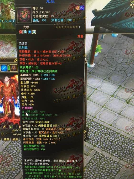 极限全5天山玩家装备与属性展示：冰攻击近12000