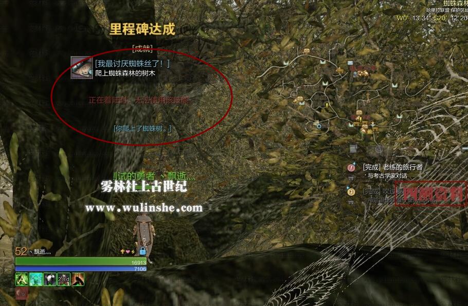 点击查看大图