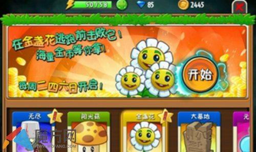 金盏花技能介绍  金盏花技能不足之处分析