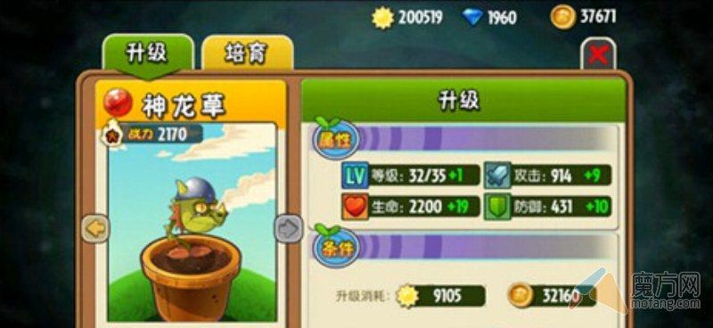 植物大战僵尸全明星前期必练植物推荐