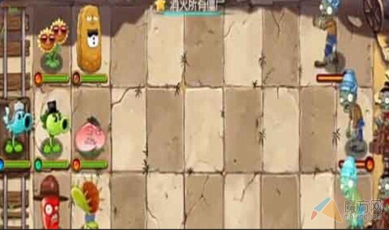 植物大战僵尸全明星神秘埃及第十一关攻略