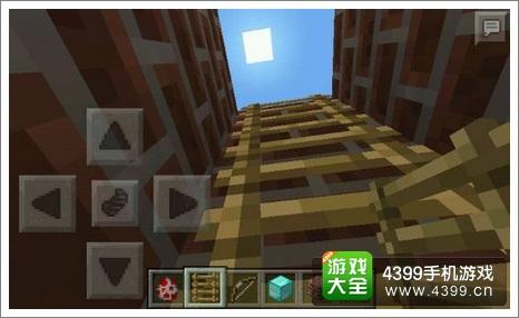 我的世界鸡电梯装梯子2