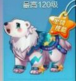 极地白熊