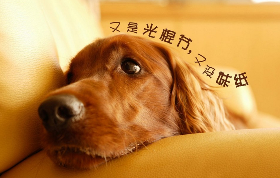 QQ图片20160521171307.png