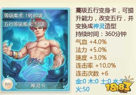 大话手游幻影通用套装：能分裂能附混