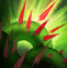 ͼƬ5.png