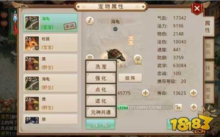 问道手游强力宝宝培养指南 修道之旅不孤单