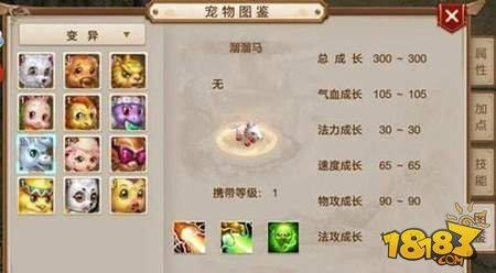 问道手游宠物怎么顿悟 宠物顿悟技能进阶指南详解