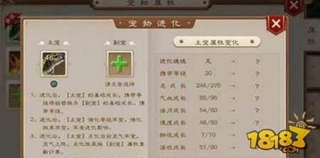 问道手游宠物进化指南分享 打造最强宝宝