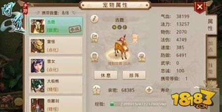 问道手游极品宠物幻化心得分享