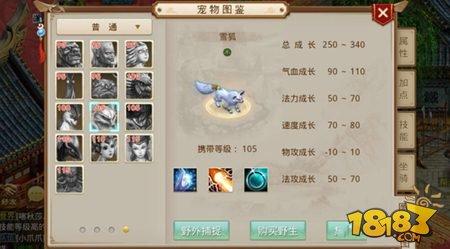 问道手游雪狐怎么样 雪狐技能解读