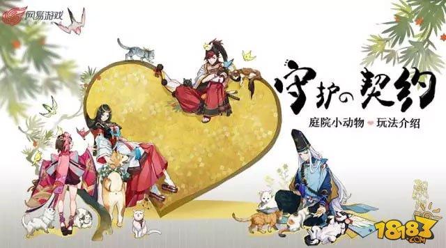 庭院小动物玩法 阴阳师科学养猫全攻略