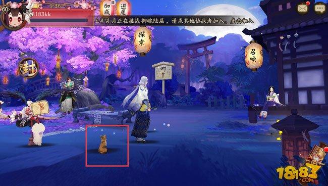 庭院小动物玩法 阴阳师科学养猫全攻略