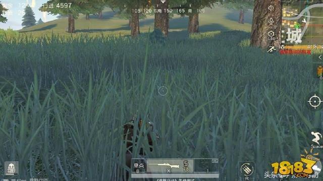 送给萌新的七句话 记住前五句吃鸡问题不大