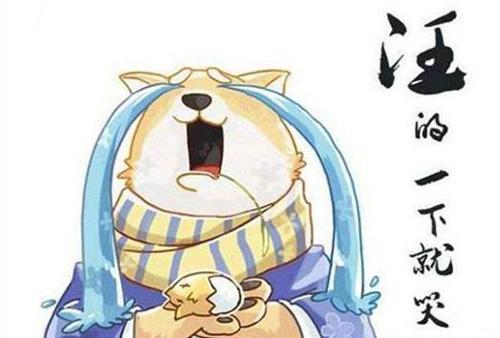 陰陽師道館已出現(xiàn)無解陣容 至今為止沒有任何玩家可以攻破
