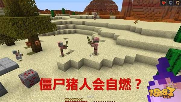 我的世界太陽的9個(gè)熱知識 同時(shí)看到太陽月亮攻略