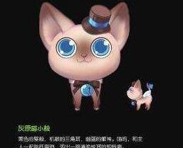 QQ飛車手游寵物希良喵小喏技能 希良喵小喏好嗎