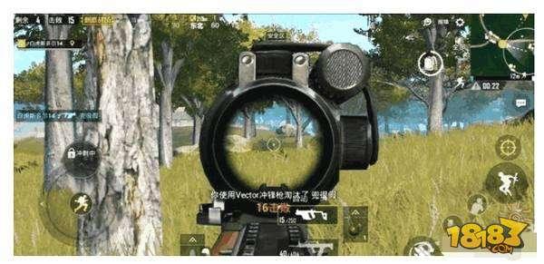 刺激战场Vector全面解析