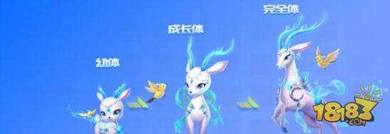 QQ飞车手游蓬莱仙鹿怎么样 蓬莱仙鹿属性技能介绍