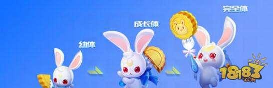 QQ飞车手游月兔详细分析 月兔属性技能介绍
