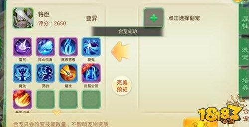 西游女兒國寵物技能合成攻略分享