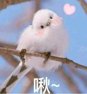 阴阳师六星超鬼王打法攻略 是男人就全部单吃