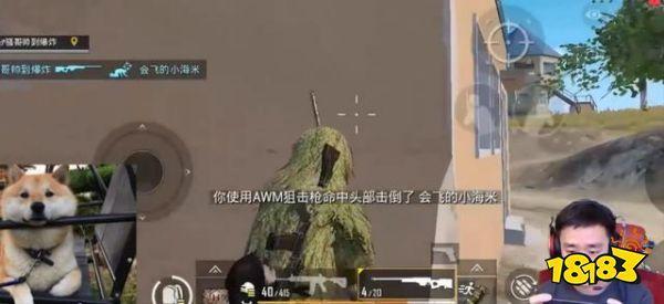 刺激战场不求人自创锁血挂 玩家表示第一次见