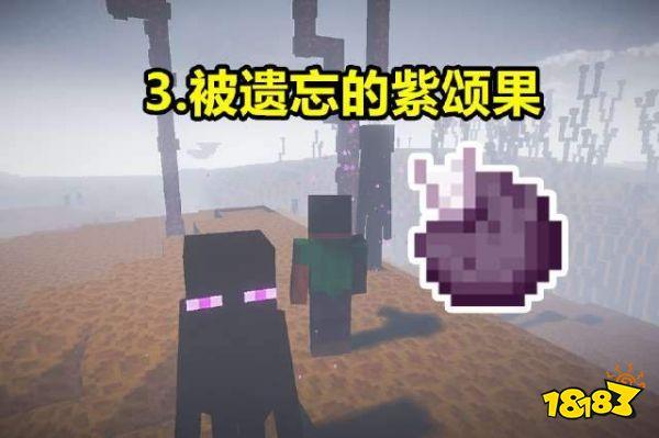 我的世界逐渐被遗忘的道具 最后一个惨遭玩家嫌弃