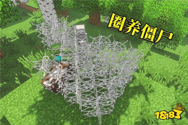 我的世界蜘蛛网的多种用途 萌新表示根本没用