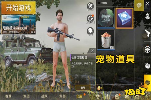 刺激戰(zhàn)場開啟云養(yǎng)寵物模式 寵物系統(tǒng)即將上線