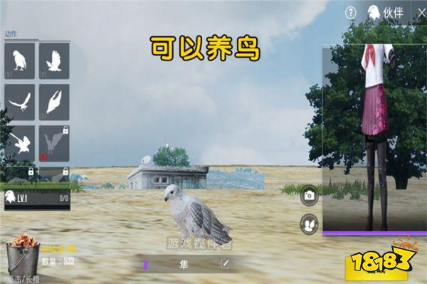 刺激戰(zhàn)場開啟云養(yǎng)寵物模式 寵物系統(tǒng)即將上線