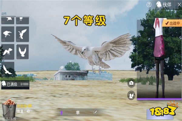刺激戰(zhàn)場開啟云養(yǎng)寵物模式 寵物系統(tǒng)即將上線